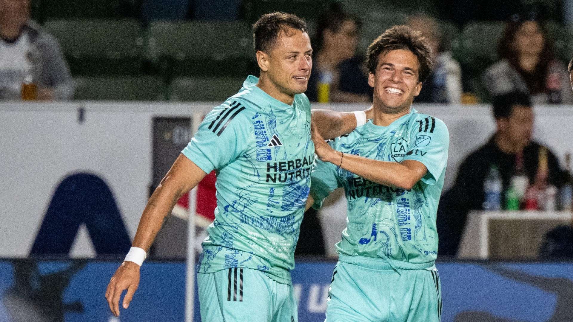 了关于国内 了关于国内